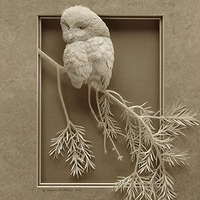 ����������ֽ�Ŷ������