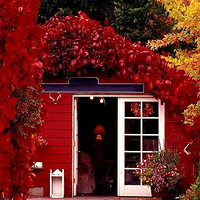 �ε�����(��Ʒ��ͼ)