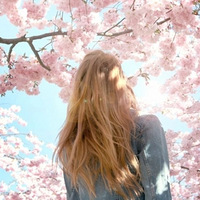 ���ݵĻ����μǣ����ݡ�����ӣ����