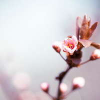 �����ͻ���������