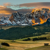 Hans Kruse��������Ŀ����Ȼ�����Ӱ��Ʒ