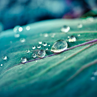 ����Ƭ�����������е�һ�족