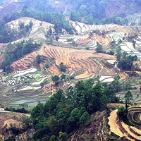 ����Ԫ������--�ϻ���