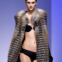 ģ������ʮ�ڡ�� ��������ʻ��Ű���