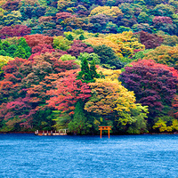 ���������ĺ�ˮ��Ӱ��Ƭ