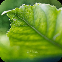 ������ ���� Mike Golding ΢����Ӱ��Ʒ����