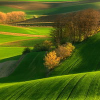 ��ԭ֮������ص���������