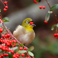 ������Ϣ����������ݺ��