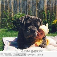 �󹷹���С�������а��ˣ�����