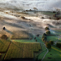 �λ���������Ӱ��Ʒ