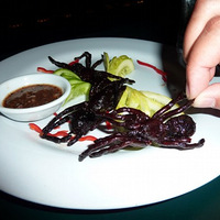 �������� ȫ����20����ʳ��