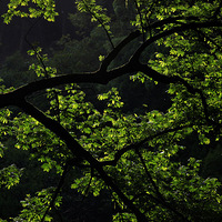 51�ڣ��������ġ�����������