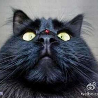 С2�Ӹ�Ц����5����������ᣡ