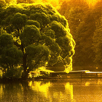 ������������ľ��Ӱ��Ƭ