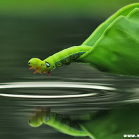 ���˾�̾����Ȼ������֮��