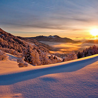 ������Ȼ֮���ķ����Ӱ��Ʒ