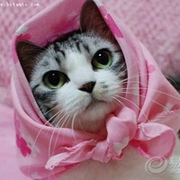 ��զ�ǿɰ��ڣ���������