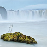 �������һ��ͼƬ�����������ٲ�����׳�ۣ�������ͼ��