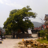 ���μ�¼ --- ��ͩ��\������\�μҴ�