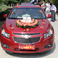 5��6�պ��ݿ�³�Ⱦ��ֲ����ѽ��