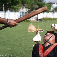 10���к�ͷ��Ҭ�� ӡ�����������ᴫ�ˣ�ͼ��