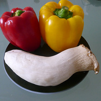 ����ҵ���ʳ---����ض�