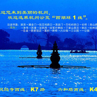 ���۲졿������������һ�������ġ�������������