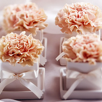 ����ʯС�����裬�Ұ���  ͶƱ����ѹ��������������ӣ�