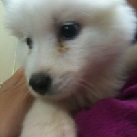 ��Ȯ��ĦGG���׵�ͼƬ־�r(�s_�t)�q