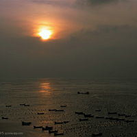 ������������ɹPP��