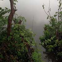 ����.����.����.����