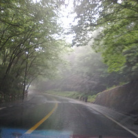 520С�һҴ�鼯��