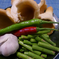 ����ҵ���ʳ--����һֻ��