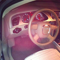 �µ�A4 2.0TˢECU��������