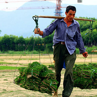 һ�������䡢��ͷ������ϵ�����ץ��