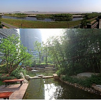 �����ս�����è���Ľ���Ծ�㣿��