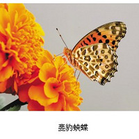 ������ֵ���������ʱ