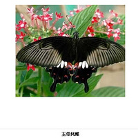 ���ں�������֪������