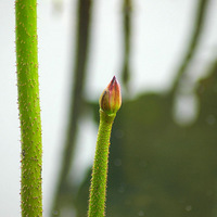 �������ɻ��������ˣ���