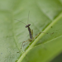 С�������