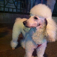 ɽ·һҹ~ Ů~ ó~ ҹг