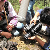 ������ϵ��й����������ĳ�����