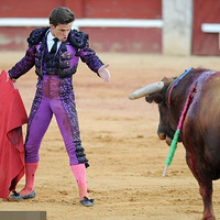 ��ţ�����Ÿ硱�����ţϮ��