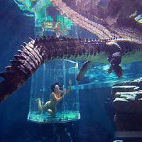 �οͰ��ϡ�������Ϸ�� �����Ƶ�