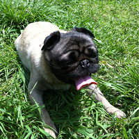 ����˸�Ȯ����ǧ������Ѿ��һ� лл���