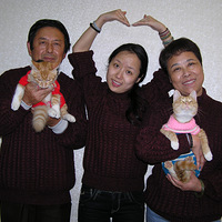 ���������ת�أ�����ѹ���Ҽ�è��������۾ɷ�һ˵������