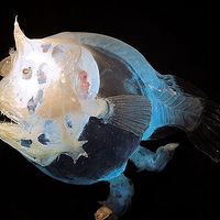 �ڰ����������ʹ�ߣ�����㼯��