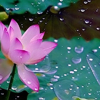 ���ƺɻ���ͤͤ��ˮ��