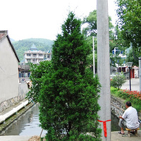 ������һ��̬�ȡ�������������ʯ��