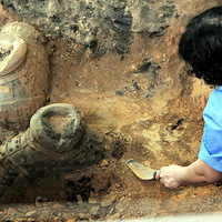 ����ٸ�ַŻ���պۼ� ר�ҳ�������Ϊ